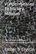 Vundermeisses To Mickey Meisses: The Evolution of Holocaust Consciousness in Literature and Film