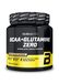 BioTechUSA BCAA + Glutamine Zero | 40 portions | Vegan | Sans sucre | Sans gluten | Ratio BCAA 2:1:1 | 480 g | Thé pêche glacé
