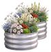 Bac à plantes bac de jardin surélevé bac potager rond - 60 x 30 cm - Acier galvanisé - Argent