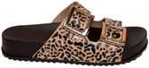 Zaxy Partner Slippers Bruin EU 41-42 Vrouw