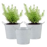 Mega Collections Emmer/plantenpot/bloempot - 3x - zink - whitewash - D16 x H14 cm