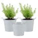 Mega Collections Emmer/plantenpot/bloempot - 3x - zink - whitewash - D16 x H14 cm