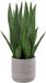 Unyqoos® Levensechte decoratieve kunstplant Sanseveria in cementpot voor interieur