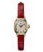 Timex Cavatina TW2Y87900 Horloge - Leer - Rood - Ø 17 mm