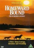 Homeward The Disney Store Limited Homeward Bound - Incredible Journey DVD