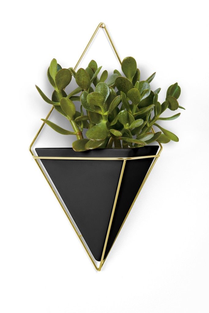 Umbra Trigg - Wandmontage Plantenpot - Keramisch, Koper, Kunststof - Zwart, Goud