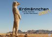 GP-Fever.de Erdmännchen - Kleine Wächter, große Abenteuer! - 2027 - Kalender DIN A3