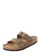 BIRKENSTOCK Muiltjes 'Arizona' ombergrijs
