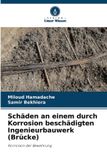 Schäden Verlag Unser Wissen Schäden an einem durch Korrosion beschädigten Ingenieurbauwerk (Brücke) Paperback