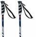 Swix Wc Pro Sg Junior Stokken Zilver 110 cm Jongen
