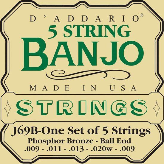 D'Addario EJ69 Phosphor Bronze 5-String Banjo Strings - Light 9-20