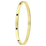 Lucardi Dames Goldplated armband bangle geboortestenen - Staal - Armband - Cadeau - Stijlvol - Goudkleurig
