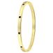 Lucardi Dames Goldplated armband bangle geboortestenen - Staal - Armband - Cadeau - Stijlvol - Goudkleurig