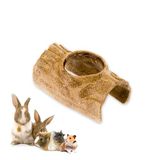 Ferplast Natuurlijke Snack voor Knaagdieren, Hamsters, Cavia's en Konijnen, Bevordert de Tandhygiëne, Stimuleert het Spelen en Biedt Smaak en Welzijn Elke Dag, in de Vorm van een Boomstam