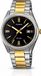 Casio MTP-1302SG-1AVD Montre