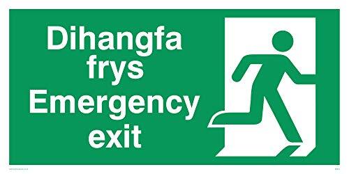 Viking Signs Viking Signs SB944-L32-1M Rechts "Dihangfa Frys/Emergency Exit" Sign, 1 mm Semi-Rigid Kunststof, 150 mm H x 300 mm W