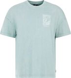 Protest Prtreed T-shirt Dames Korte Mouwen Ronde Hals Relaxed Fit Katoen Glacial Blue
