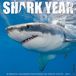 Shark Willow Creek Press Shark Year 2027 12 X 12 Wall Calendar