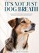 IT'S NOT JUST DOG BREATH: A Practical Owner's Guide to Bad Breath, Teeth, and Gums What to Check at Home, What to Buy, and When to Call the Vet