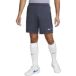 Tottenham Hotspur Short 2023/24