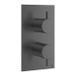 Crosswater MPRO robinet de douche - encastré - vertical - brossé ardoise gunmetal (anthracite) SW928250/sw385437