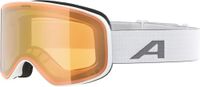ALPINA Slope Q Skibril
