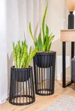 VITA Flowerpot Standy Black Set