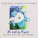 Lullaby Felipe Salles Interconnections Ensemble - The Lullaby Project (CD)