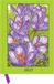 Kat Menschik - Flowers - Crocus 2027