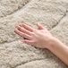 Safavieh Florida Shag Collection Vloerkleed - 1,2 cm x 1,25 cm, crème en crème, niet-pluizend en onderhoudsvriendelijk, 3 cm dik, ideaal voor ruimtes met veel verkeer in woonkamer, slaapkamer
