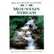 Mountain Relax With Nature Mountain Stream