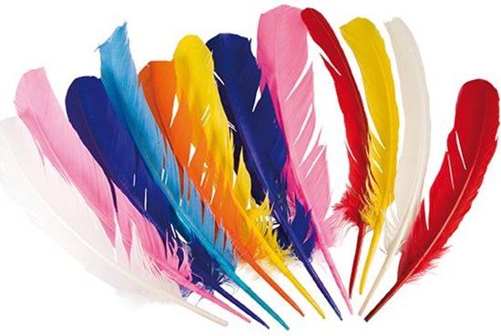 Generik 12 indianen pluimen 30 cm - Feestdecoratievoorwerp