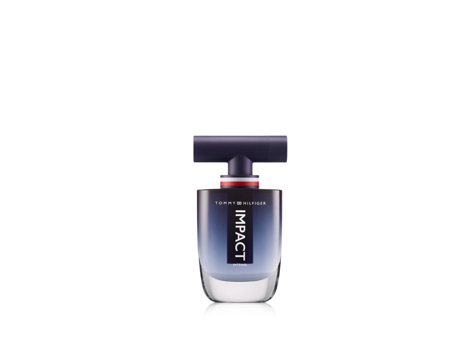 Tommy Hilfiger Eau de Parfum / 100 (ml) / Men