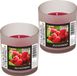 Conpax Candles Bougie parfumée - Raspberry - Rouge - 2 Pièces