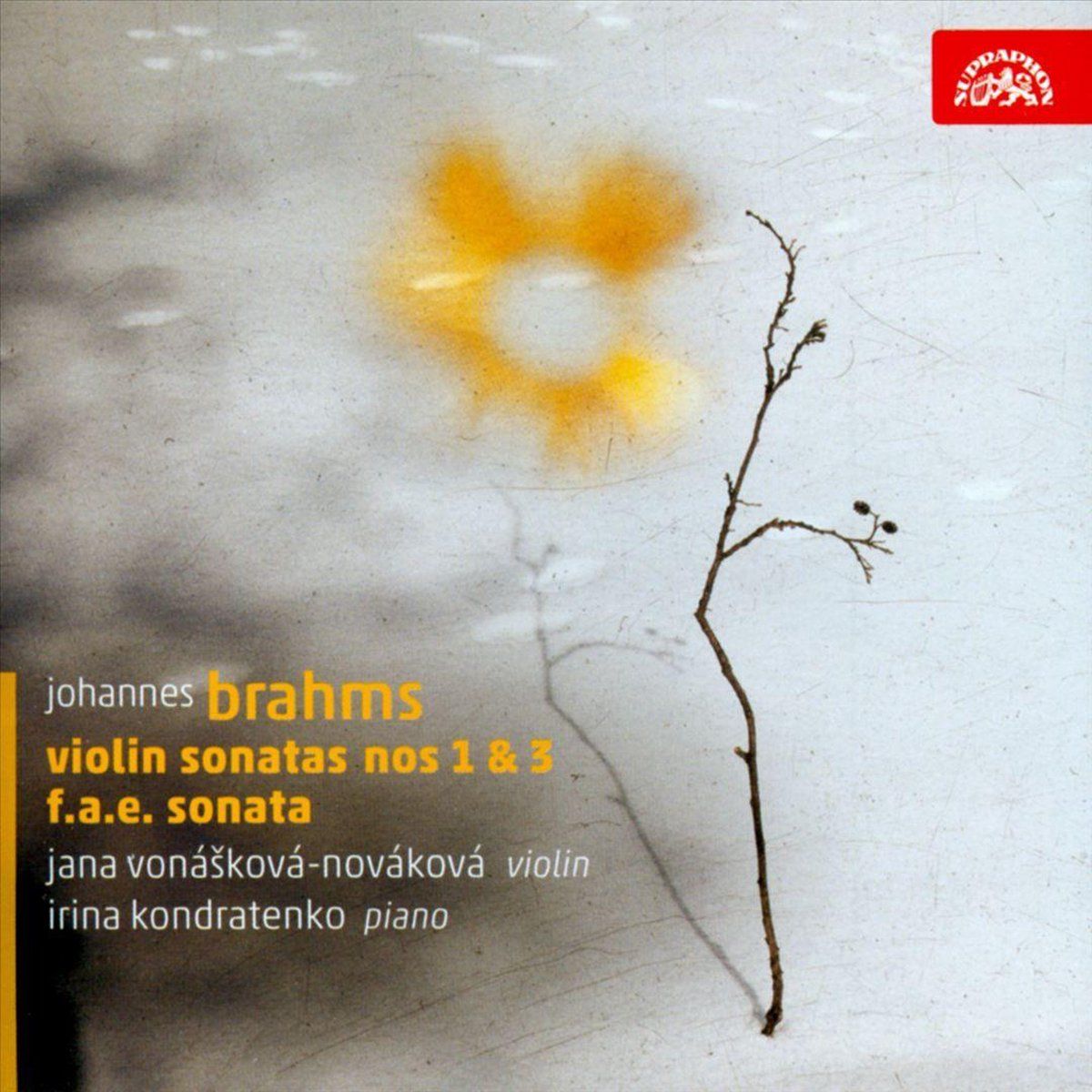 OUTHERE Johannes Brahms/Violin Sonatas