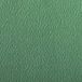 Clairefontaine 93778C Etival Color Papier - 24 Vellen Donkergroen Tekenpapier
