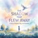 The Shadow That Flew Away: A Story of Wonder, Play, and Possibility