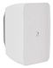 AUDAC ARES5A 2-weg Wit 40W Bedraad Plafondmontage Luidspreker