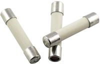 ESKA 528.22 52822 Buiszekering (Ø x l) 5 mm x 25 mm 3.15 A 250 V Normaal -mT- Inhoud 10 stuk(s)