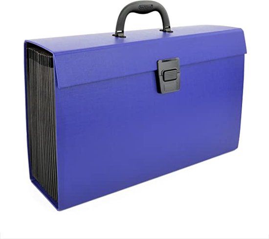 Rapesco 1553 Uitvouwbare Documentenbox met Handvat en 19 Vakken, Blauw