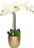 Mica Decorations Orchidee kunstplant wit - 75 cm - inclusief bloempot goud glans
