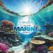 WONDERS OF THE MARINE WORLD de sandy Ap (ENGLISH EDITION 2)