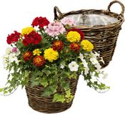 van der Leeden VD Leeden Plantenmand Twijg - 2x - rond - bruin - 35 x 25 cm - rotan - gevlochten riet - bloempot
