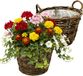 van der Leeden VD Leeden Plantenmand Twijg - 2x - rond - bruin - 35 x 25 cm - rotan - gevlochten riet - bloempot