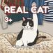 Real Cat: Kids coloring book