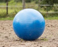 QHP Ballon de football pour chevaux Bleu - Taille unique