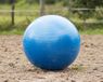 QHP Ballon de football pour chevaux Bleu - Taille unique