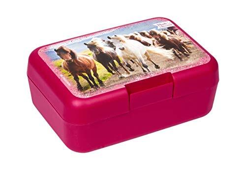 Coppenrath Verlag SPIEGELBURG COPPENRATH Kleine lunchbox voor paardenliefhebbers (met paardenkudde