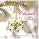 Bertus Distributie Christmas Harp [Reflections]
