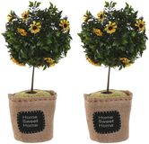 Item International Item Deurstopper plant - 2x - 1 kilo - geel - polyester - 18 x 18 x 36 cm